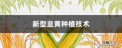 新型韭黄种植技术 新型韭黄种植技术多菌