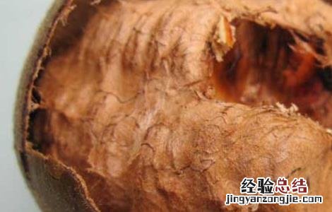 罗汉果怎么泡水喝 罗汉果怎么泡水喝用皮还是瓤