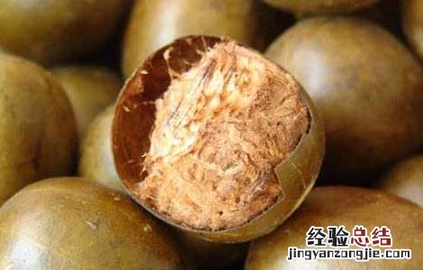 罗汉果怎么泡水喝 罗汉果怎么泡水喝用皮还是瓤