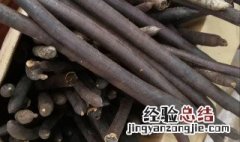 大解果有的功效与作用 大解果有的功效与作用是什么