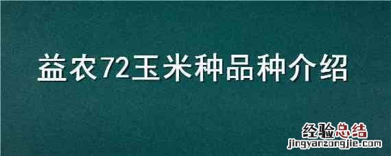 益农72玉米种子 益农72玉米种品种介绍