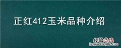 正红412玉米品种如何 正红412玉米品种介绍
