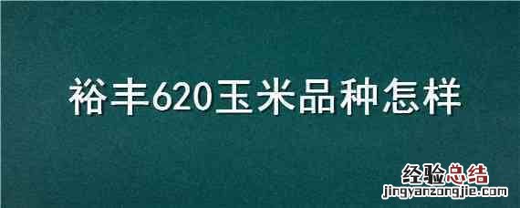 裕丰620玉米品种怎样 玉丰612玉米品种简介
