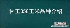 甘玉358玉米品种介绍 玉清358玉米种子特征特性