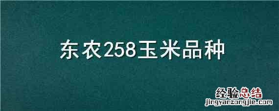 东农258玉米品种最高亩产量 东农258玉米品种