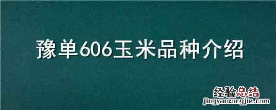 豫单776玉米种子简介 豫单606玉米品种介绍
