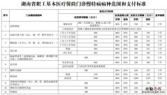常德职工医保门诊慢特病报销比例是多少