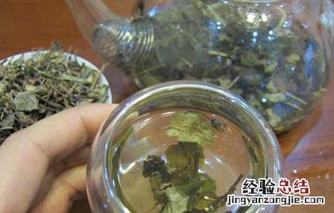金钱草的食用方法和用量 金钱草的食用方法