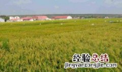 二房妻啥意思 了解一下其他的俗语还有哪些