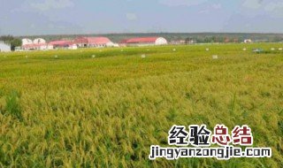 二房妻啥意思 了解一下其他的俗语还有哪些