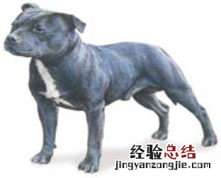 无锡市禁止个人饲养的犬类 无锡市养犬管理条例禁养