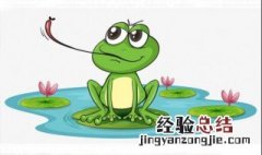 昆虫备忘录的中心思想是什么 进来看看