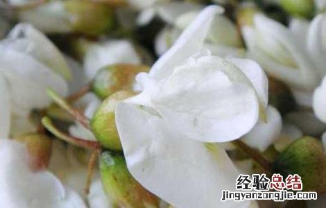 槐花怎么吃最好蒸 槐花怎么吃最好