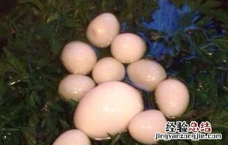 艾叶煮鸡蛋的做法 艾叶煮鸡蛋的做法窍门