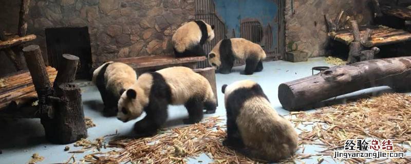 成都旅游必去十大景点 重庆旅游必去十大景点