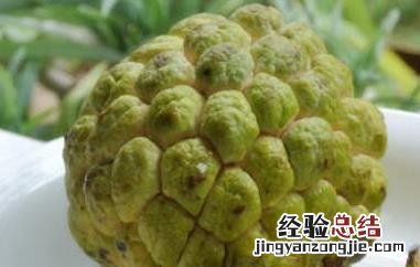 千万不要吃释迦果 千万不要吃释迦果的原因吃释迦果有哪些利弊