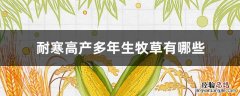 耐寒高产多年生牧草有哪些 耐寒又高产的牧草