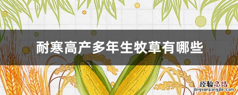 耐寒高产多年生牧草有哪些 耐寒又高产的牧草