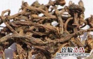 晒干婆婆丁喝水用处 婆婆丁晒干泡水的功效与作用
