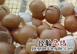 花卉的施肥技巧和方法 花卉的施肥技巧