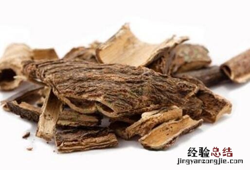 合欢皮的营养价值