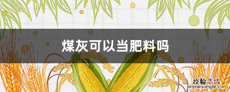 煤灰可以当肥料吗 煤粉能做肥料吗