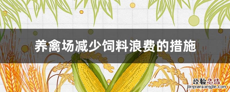 养殖场减少饲料浪费的措施 养禽场减少饲料浪费的措施
