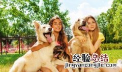 小狗跟着走寓意什么 小狗跟着人走是什么兆头