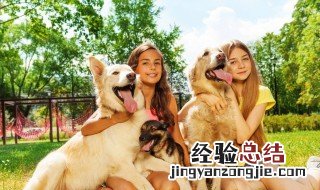 小狗跟着走寓意什么 小狗跟着人走是什么兆头
