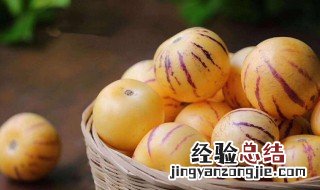 人参果盆栽怎么养殖 人参果盆栽怎么养殖方法