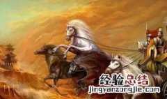 鞭长莫及指打不到马什么部位 鞭长莫及是什么意思