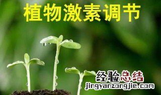 植物激素调节的概念 你知道了吗