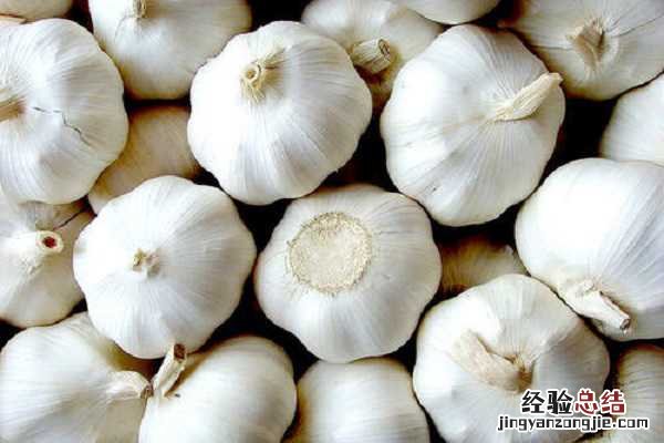 大蒜什么时候浇水施肥好 大蒜浇水最佳时间，什么时候浇水好