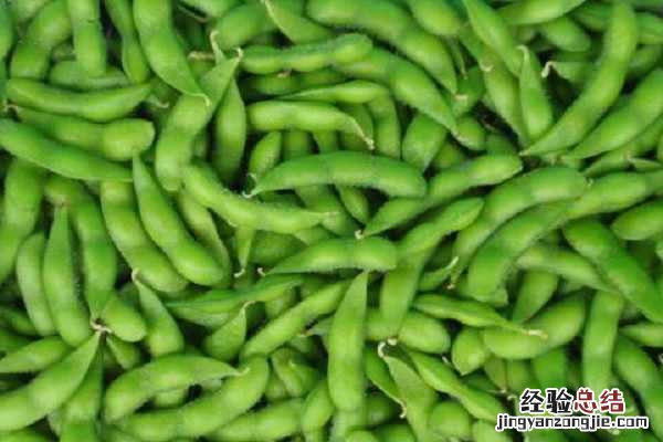 毛豆的正确种植方法有哪些是什么，如何种才高产