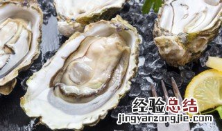 生蚝季节 生蚝季节是什么时候