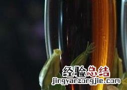 酒杯花的养殖方法与注意事项 酒杯花的养殖方法与注意事项视频
