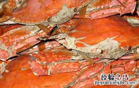 清蒸梭子蟹的做法时间 冷水 清蒸梭子蟹的做法