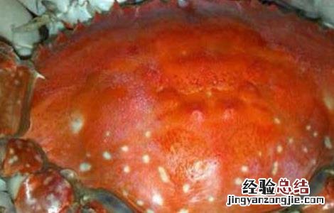 清蒸梭子蟹的做法时间 冷水 清蒸梭子蟹的做法