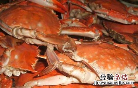 清蒸梭子蟹的做法时间 冷水 清蒸梭子蟹的做法