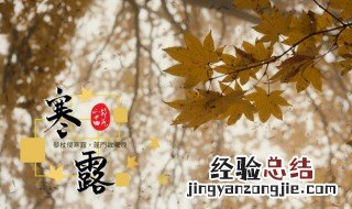 寒露是什么意思呢 寒露节气的介绍