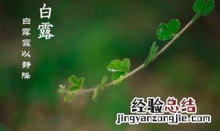白露节气饮食特点 白露节气饮食特点是什么