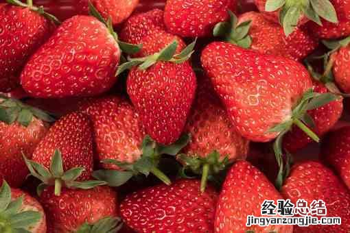 丹东99草莓和红颜有什么区别 红颜草莓和丹东99的区别是什么