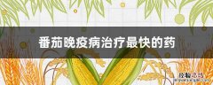 番茄晚疫病治疗最快的药 番茄晚疫病用什么药效果好
