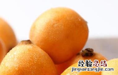 枇杷果如何保存最好 枇杷果如何保存