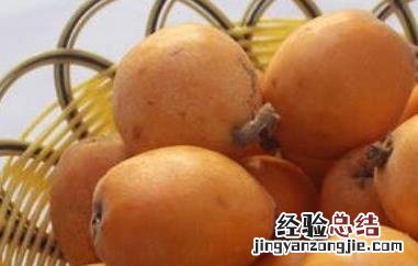 枇杷果如何保存最好 枇杷果如何保存