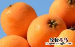 枇杷果是热性还是凉性 枇杷果是凉性还是热性水果