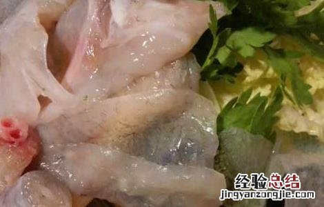河豚鱼的做法大全 河豚鱼的做法大全家常