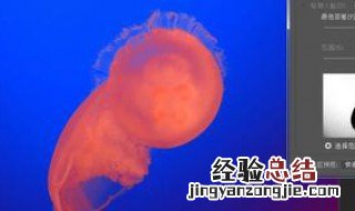 色彩范围抠图怎么更准 什么办法好一点