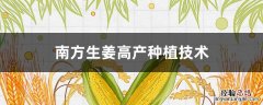 南方生姜种植最新技术 南方生姜高产种植技术