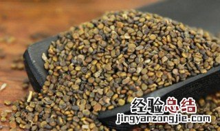 沙苑子的营养价值 沙苑子的功效与作用 沙苑子的副作用